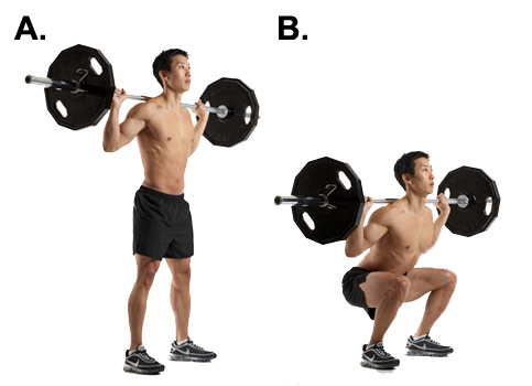 barbell squat