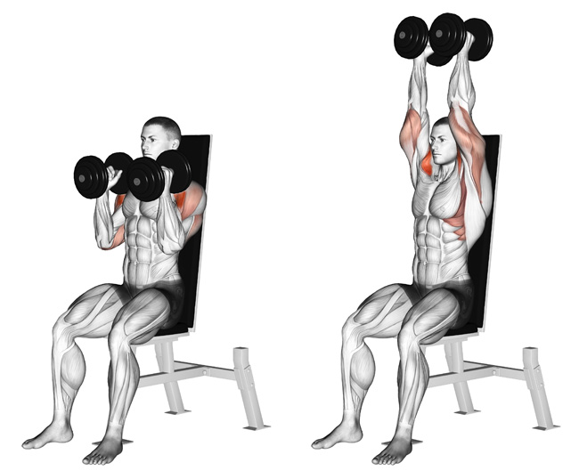 Dumbbell overhead press