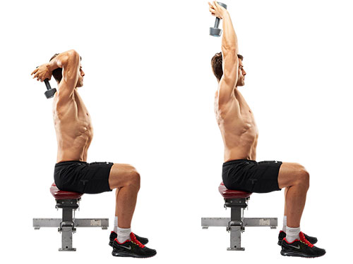 Dumbbell overhead triceps press