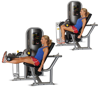 leg extension