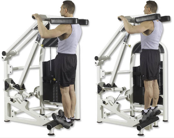 standing calf raises