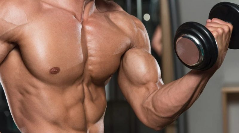 biceps workout
